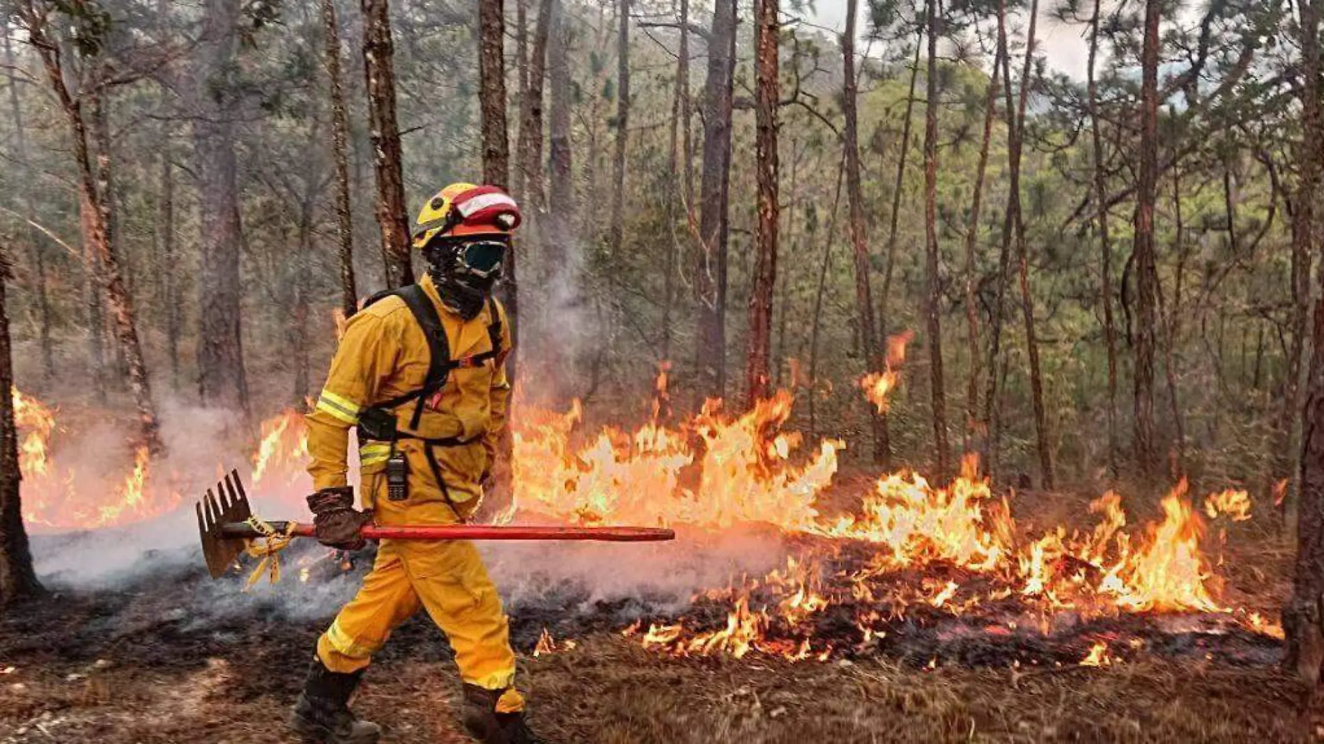 Brigadista combatiendo incendio